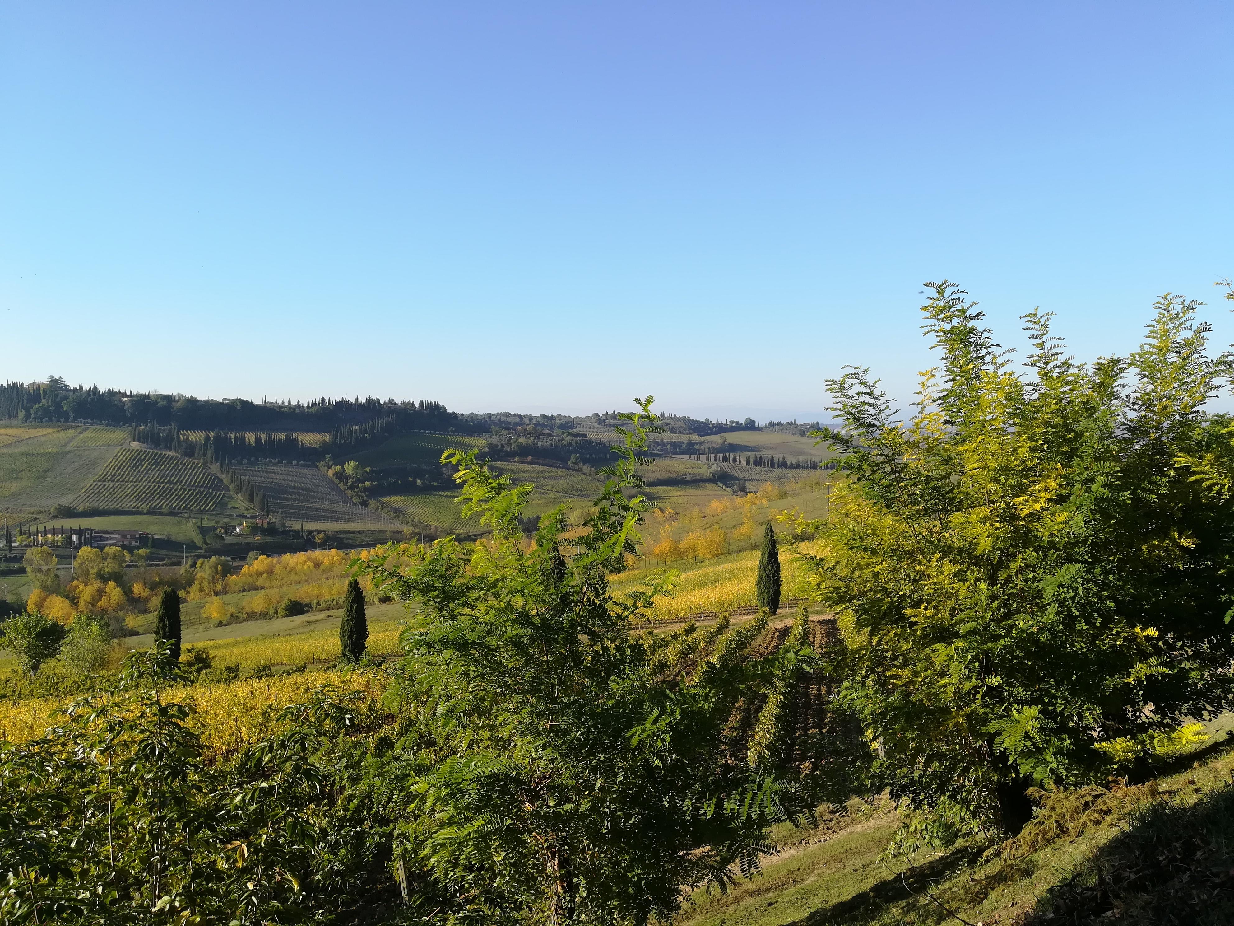 Poderi Arcangelo Vakantieboerderij
