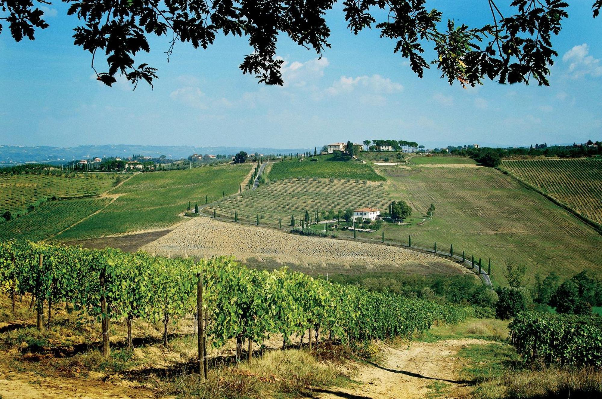 Vakantieboerderij Poderi Arcangelo *